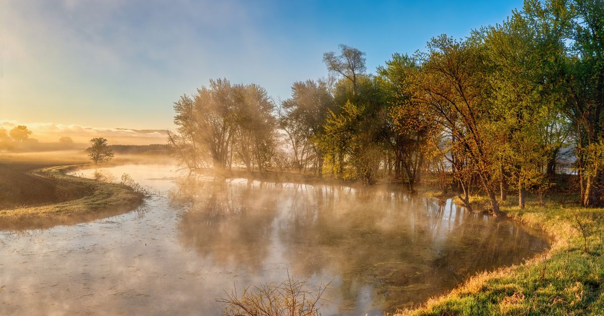 Tranquil lakeside view at sunrise with fog and autumn trees in Wabasha, Minnesota.
